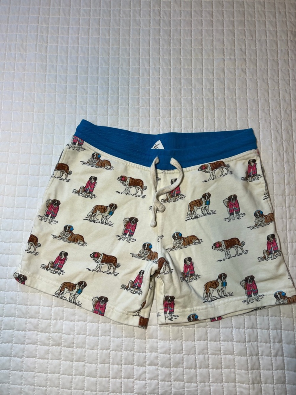 Chubbies brand lounge wear shorts in a size Medium with a 5.5-inch inseam